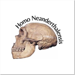 Homo Neanderthalensis Skull Posters and Art